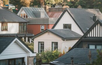 Residential home with flying squirrels