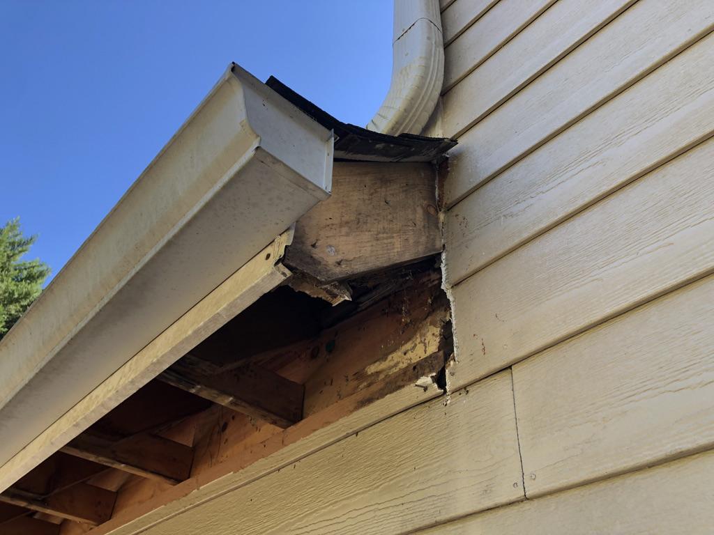 racoon damage to soffit and facia boards on a home in Carrollton, Georgia